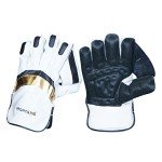 SPORTAXIS Lightweight Cricket Wicket Keeping Gloves