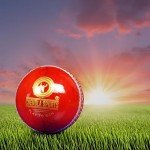 Chendla Sports V9A Adult Red Cricket Ball