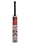 SS Cricket Noir Kashmir Willow Junior Bat - Size 5