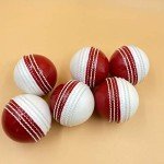AnNafi® Dual Color Cricket Coaching Training Balls
