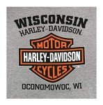 Harley-Davidson Willie G Skull Hoodie - Sport Gray