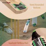 Hitwin Grade 2 Kashmir Willow Cricket Bat - Full Size