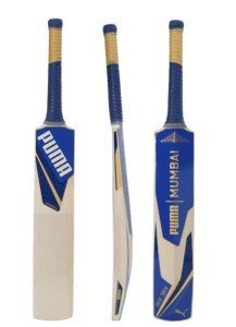 Mumbai City Cricket Bat and Ball Set