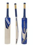 Mumbai City Cricket Bat and Ball Set