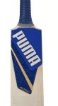 Mumbai City Cricket Bat and Ball Set