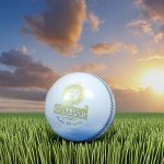 Chendla Sports Super County 4 Panel Cricket Ball