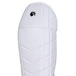 DSC Intense Speed Leather Cricket Wicket Keeping Gloves