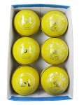 Pack of 6 BT Indoor Leather Cricket Balls