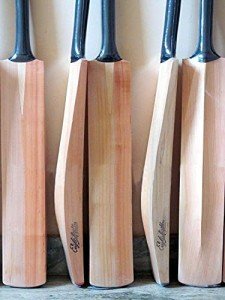 AnNafi® Plain Kashmiri Willow Cricket Bat Free MRF Genius Emboss Sticker | Premium Quality | Regular Size Short Handle | Full Size Cover, Pre- Fitted Toe Guard, Anti Scuff Sheet & Fiber Tape
