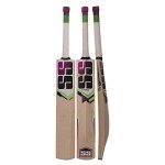 SS Josh Kashmir Willow Cricket Bat SH (Color May Vary)