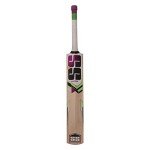SS Josh Kashmir Willow Cricket Bat SH (Color May Vary)