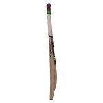 SS Josh Kashmir Willow Cricket Bat SH (Color May Vary)