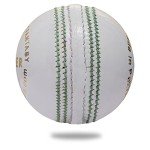 Cricnix Cricket Ball Premier White Leather 5.5oz (1-Pack) for Seniors Match
