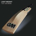 GM Chroma Maxi English Willow Short Handle Cricket Bat Size-6