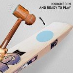 GM Chroma Maxi English Willow Short Handle Cricket Bat Size-6