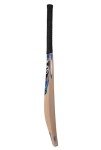 SG Legend Black Premium Kashmir Willow Cricket bat