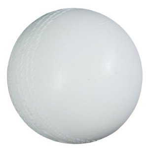 Cricket Ball with Rattles