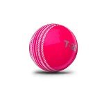 jaspo PVC T-20 Cricket Balls, (Multicolour)