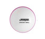 jaspo PVC T-20 Cricket Balls, (Multicolour)