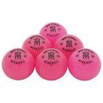 MARIB Wind Cricket Balls - Indoor & Outdoor Soft Training Cricket Ball for Coaching Practice (Pink)