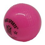 MARIB Wind Cricket Balls - Indoor & Outdoor Soft Training Cricket Ball for Coaching Practice (Pink)