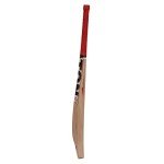 Cricket Bat SS Master Kashmir Willow Full Adult Size Short Handle by Sunridges with Free SS Sunridges Bat Cover - Bat Suitable for Playing with Leather Ball, Normal Cork Ball or Heavy Tennis Ball