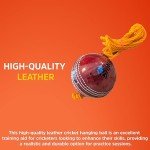Bratla Hanging Cricket Ball with 10-Foot Cord | Leather Ball for Batting Practice & Hand-Eye Coordination | 5.5 oz Red Cricket Ball