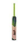 KOOKABURRA Kahuna 40 Kashmir Willow Cricket Bat