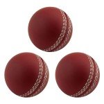 3 Cricket Balls - Training, Coaching, Practice & Excellent Bounce Skills | Hand Stitched Portable Cricket Balls | for Indoor and Outdoor Practice & Training