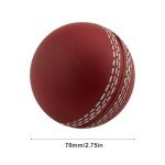 3 Cricket Balls - Training, Coaching, Practice & Excellent Bounce Skills | Hand Stitched Portable Cricket Balls | for Indoor and Outdoor Practice & Training