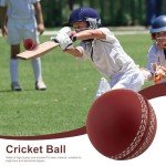3 Cricket Balls - Training, Coaching, Practice & Excellent Bounce Skills | Hand Stitched Portable Cricket Balls | for Indoor and Outdoor Practice & Training