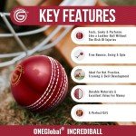 Soft Rubber Cricket Ball for Practice | Outdoor & Indoor Cricket Ball with Soft Core & Stitched Seam | Realistic Feel, True Bounce & Swing for Practice, Coaching, Honing Skills & Family Fun (1-RED)