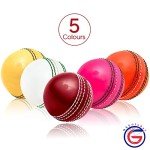 Soft Rubber Cricket Ball for Practice | Outdoor & Indoor Cricket Ball with Soft Core & Stitched Seam | Realistic Feel, True Bounce & Swing for Practice, Coaching, Honing Skills & Family Fun (1-RED)