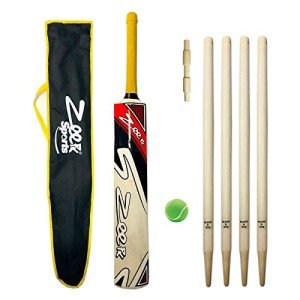 Zeepk Sports Complete Junior Cricket BAT KIT for Kids Age 8-14 Years Kashmir Willow BAT + WICKETS