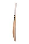 Cricket Tennis Bat SG T-1200