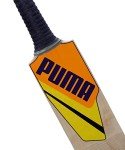 Puma Men's Chennai City Cricket Bat - Yellow