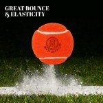 Mozi Sports Cricket Tennis Balls- Heavy Rubber Tennis Balls for Cricket Play Weight 120gm (Orange)