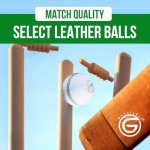 ONEGlobal Select Leather Cricket Ball | 100% Handcrafted, 156g - 5.5oz, 4-Piece Construction | Ideal for T20, Net Practice, Training etc. (White, 1 Pack)