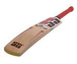 SS T20 Legend Club Kashmir Willow Cricket Bat