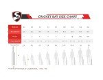 SG Scorer Classic Kashmir Willow Short Handle Cricket BAT
