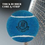 Mozi Sports Cricket Tennis Balls- Heavy Rubber Tennis Balls for Cricket Play Weight 120gm (Blue)