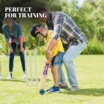 Mozi Sports Cricket Tennis Balls- Heavy Rubber Tennis Balls for Cricket Play Weight 120gm (Blue)