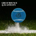 Mozi Sports Cricket Tennis Balls- Heavy Rubber Tennis Balls for Cricket Play Weight 120gm (Blue)