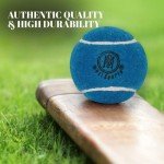 Mozi Sports Cricket Tennis Balls- Heavy Rubber Tennis Balls for Cricket Play Weight 120gm (Blue)