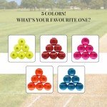 Mozi Sports Cricket Tennis Balls- Heavy Rubber Tennis Balls for Cricket Play Weight 120gm (Blue)