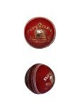 CD-2 Red Leather Cricket Ball Practice