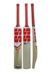 SS Sky Super Premium Kashmir Willow Cricket Bat