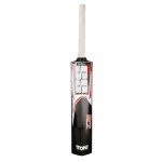SS R-7 Catch Practice Cricket Bat