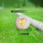 SG Cricket Balls SG SHIELD 20 White - Pack of 1