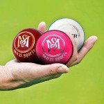 Mozi Sports® Leather Cricket Ball Senior Hand Stitched Match Quality Balls Weight 5.50oz (Red)
